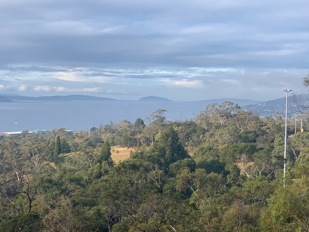 walking near me in Queens Domain in summer