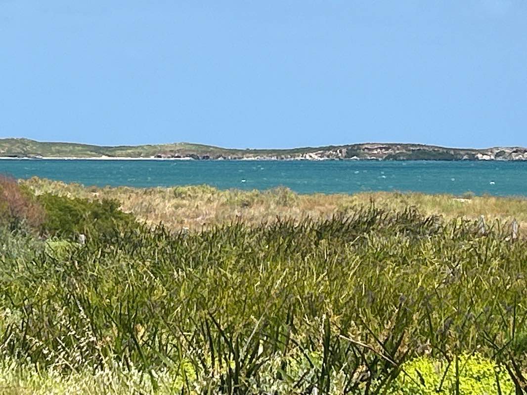 walking near me in Unnamed WA48968 5(1)(h) Reserve in spring