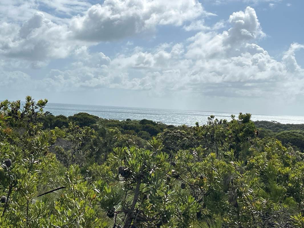 walking near me in Noosa National Park in autumn