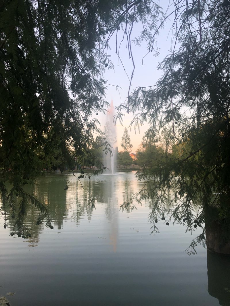 walking near me in Parco Giovanni Amendola in winter