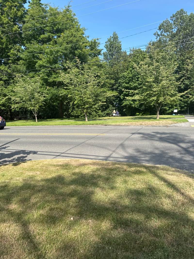 walking near me in Puget Park in summer