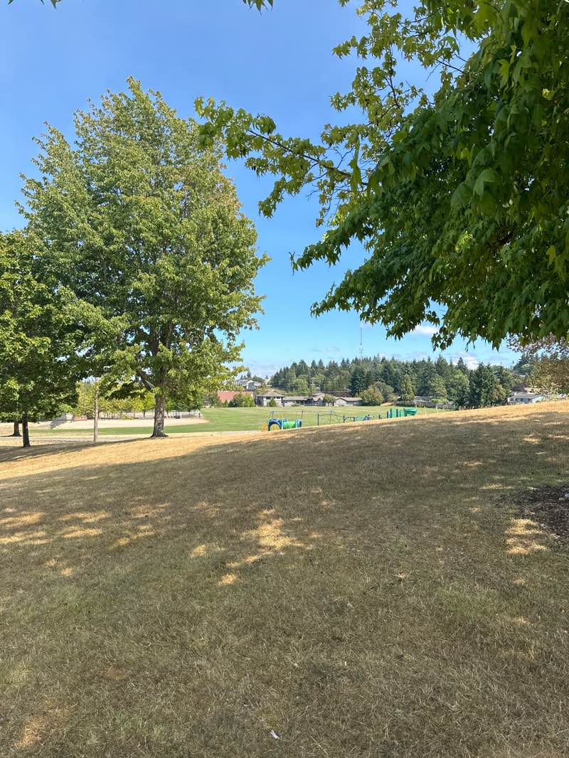 walking near me in Vassault Park in autumn
