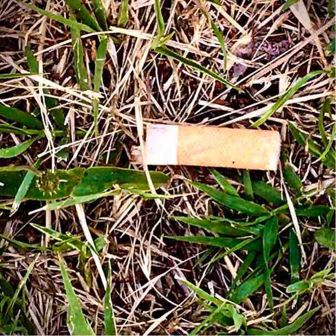 Monica Franchini post 3