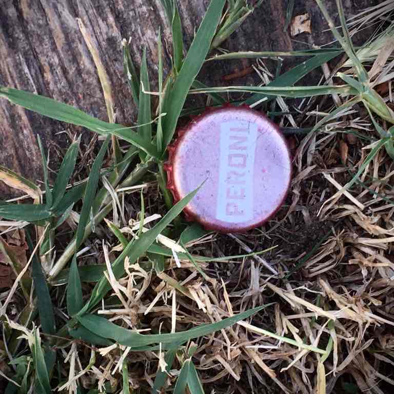 Monica Franchini post 1