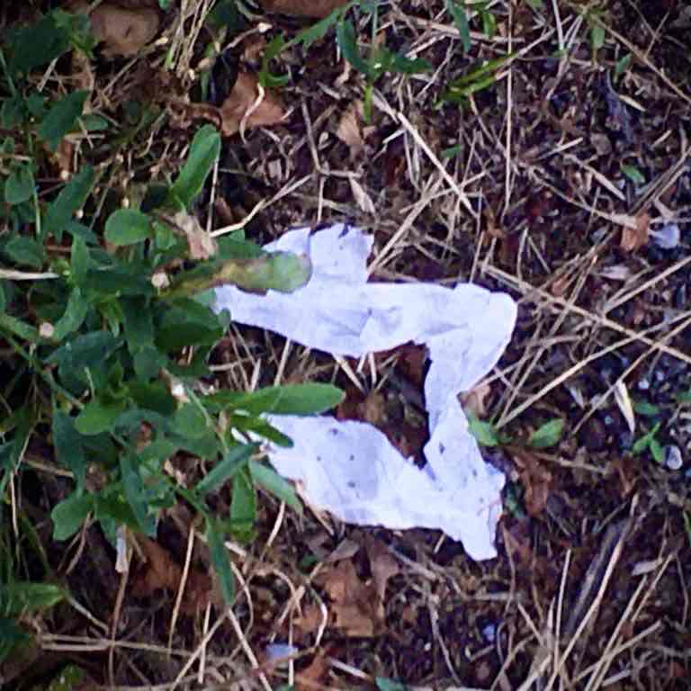 Monica Franchini post 2