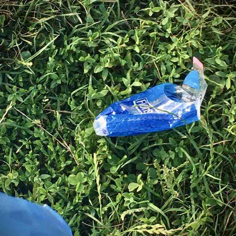 Monica Franchini post 1