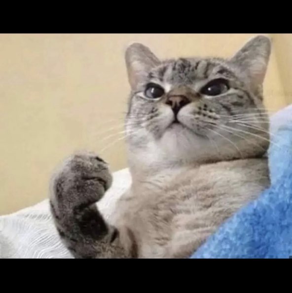 RSP, Sara, @saramazu