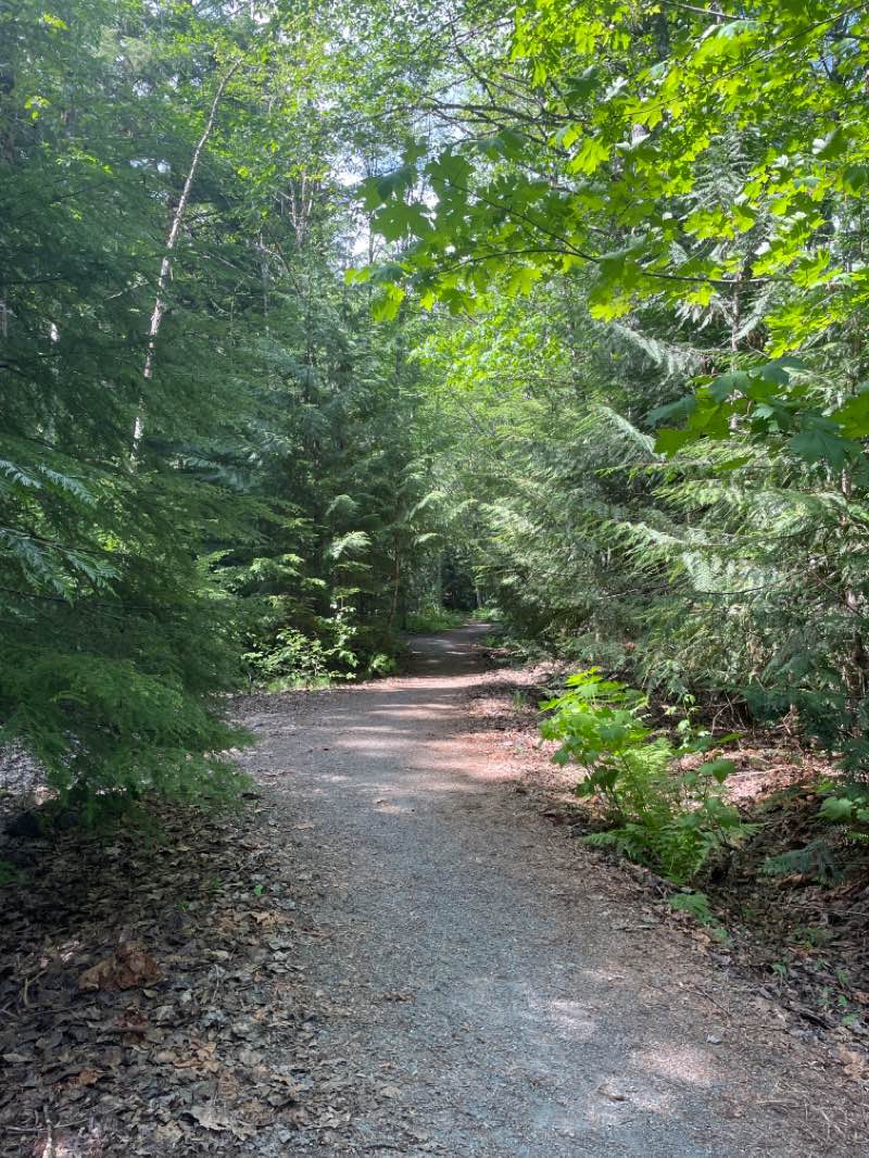 walking near me in Cal-cheak Recreation Site in winter