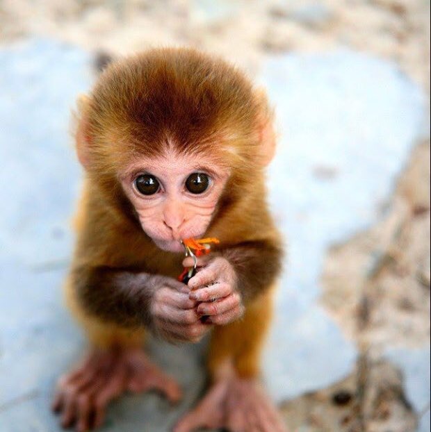 춘식이🇰🇷🇰🇷 profile