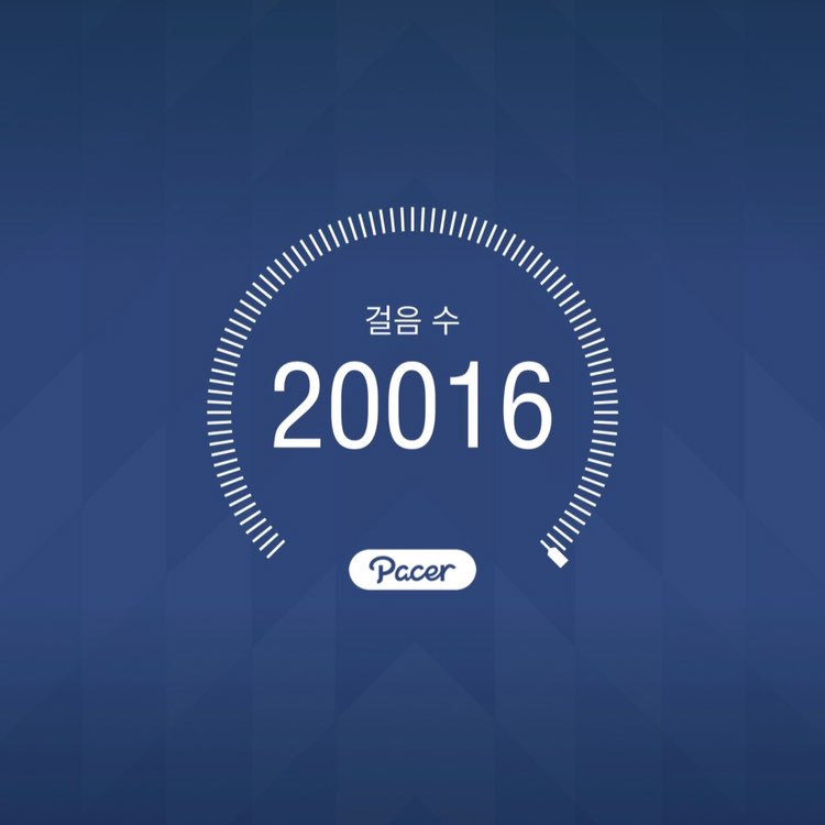 오랑우탄 만보걷기 춘식이🇰🇷🇰🇷 post image