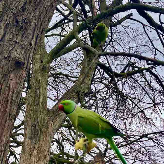 Alex Fedorenko post 1