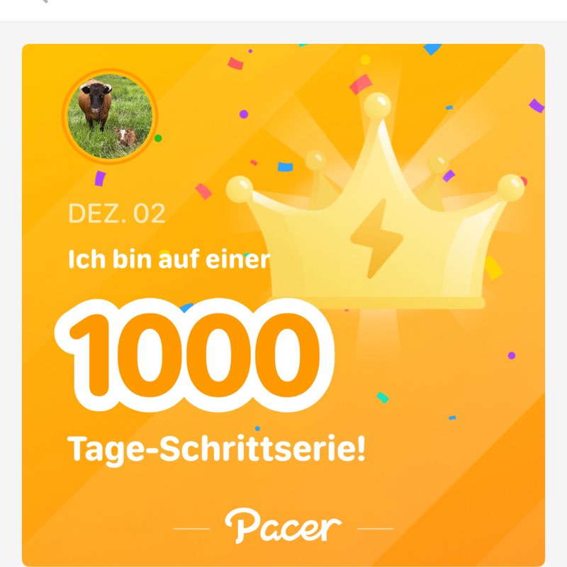 Die Selbstläufer ☄️🏃‍♀️💥 Marko post image