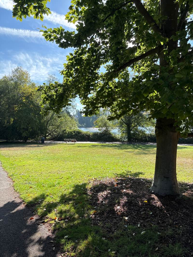 walking near me in Green Lake Park in summer