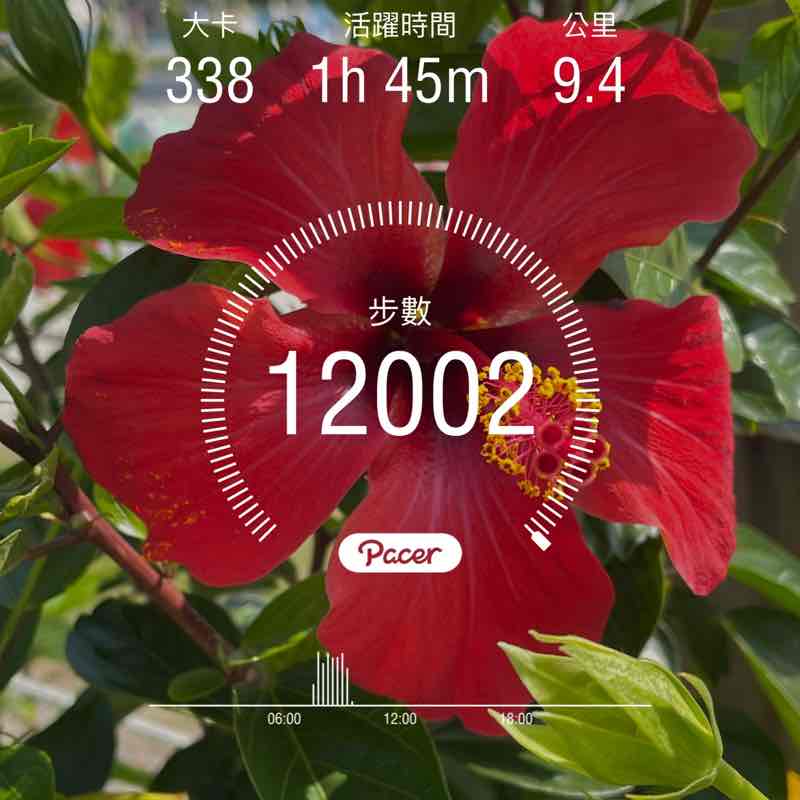 Sammy🇹🇼 post 1