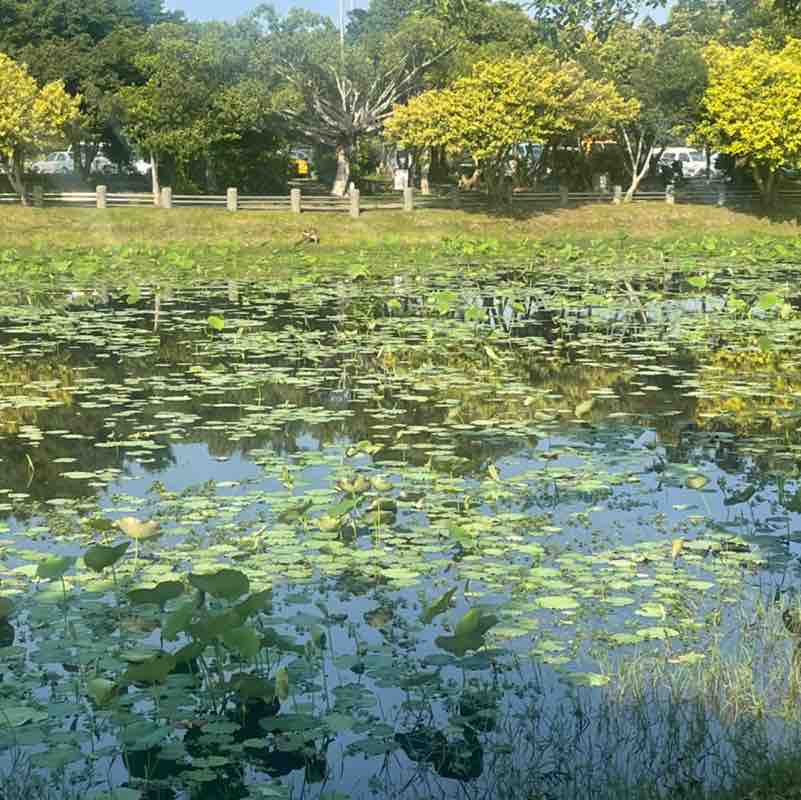 Sammy🇹🇼 post 2