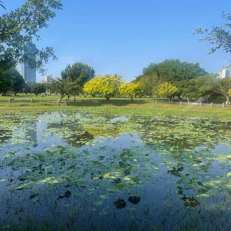 Sammy🇹🇼 post 3