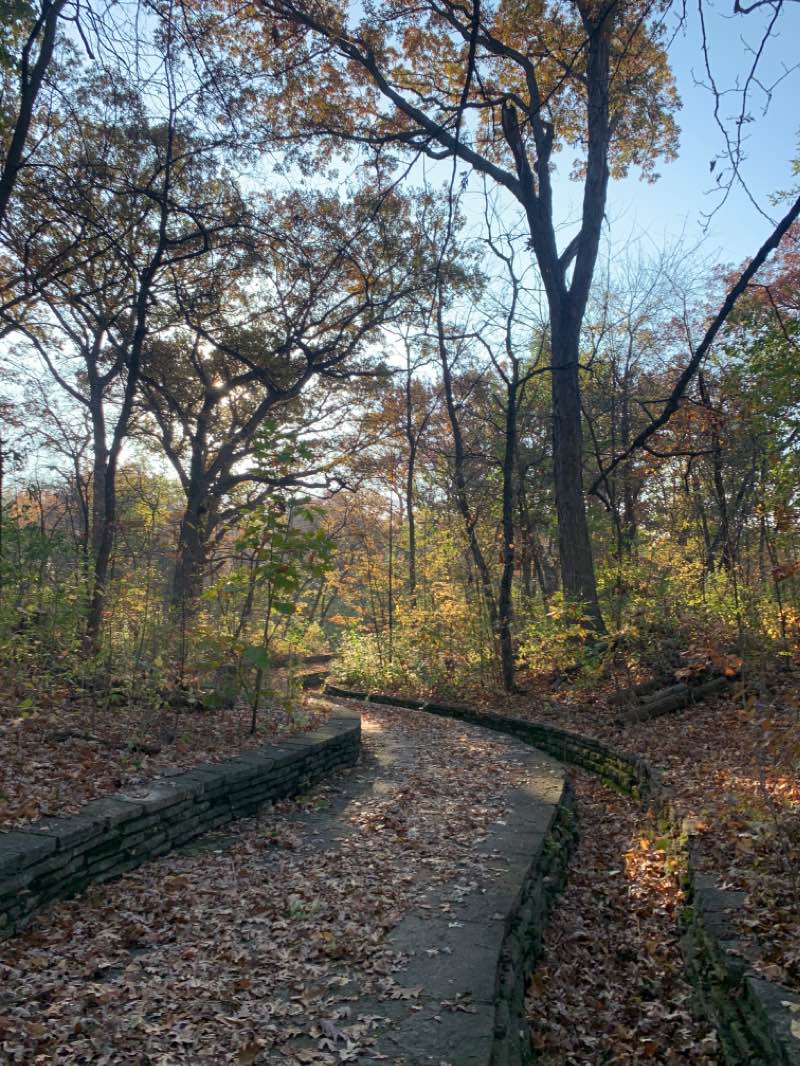 walking near me in Dan Ryan Woods in winter