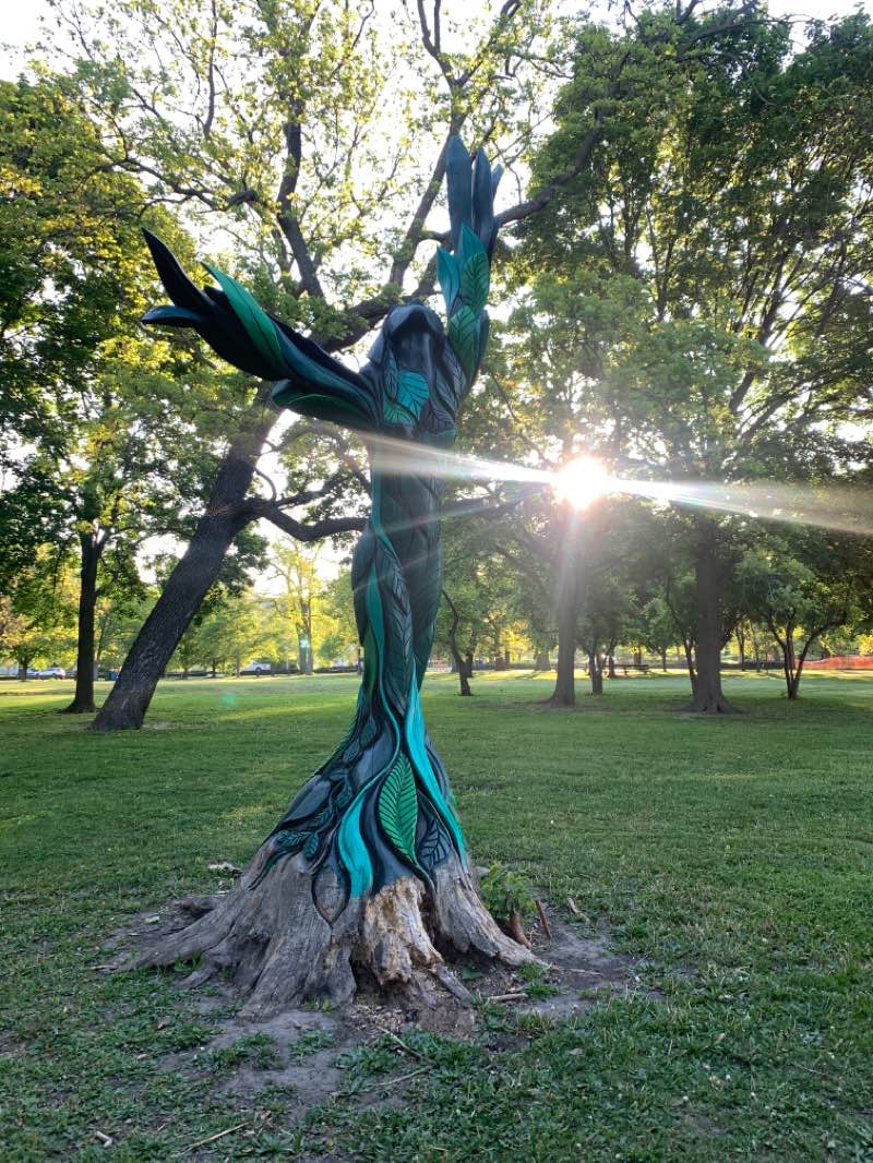 walking near me in Jackson Park in winter
