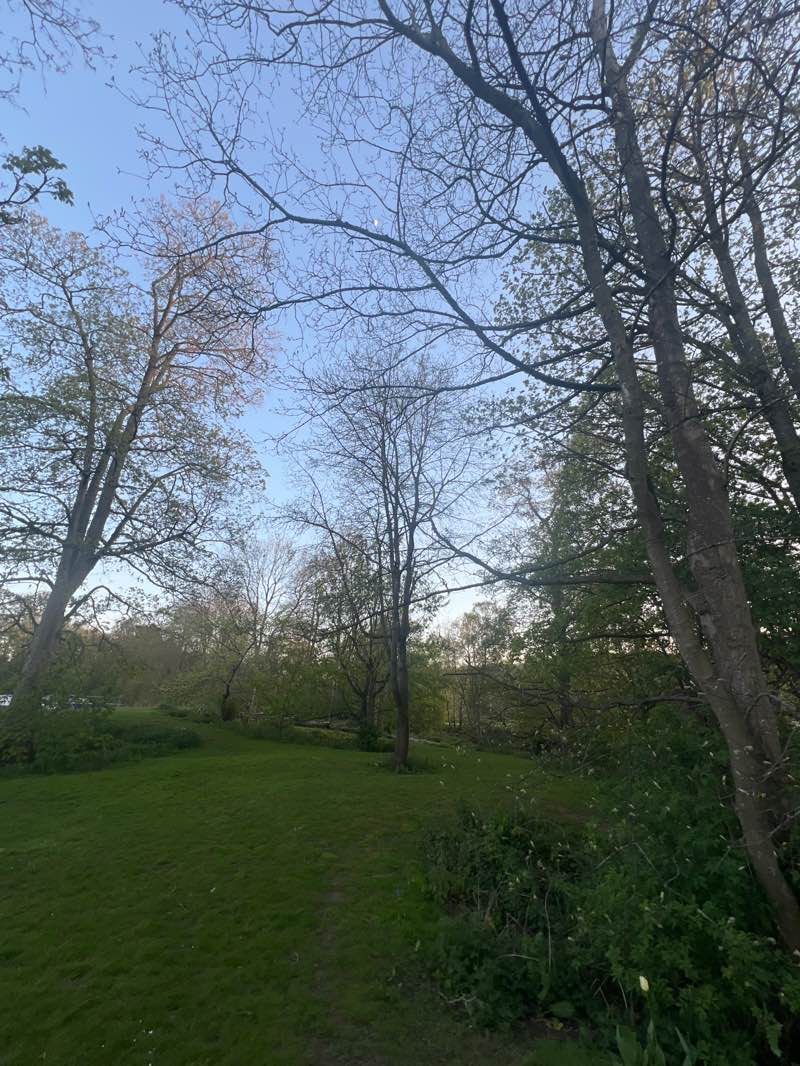 walking near me in Trentham Gardens in spring