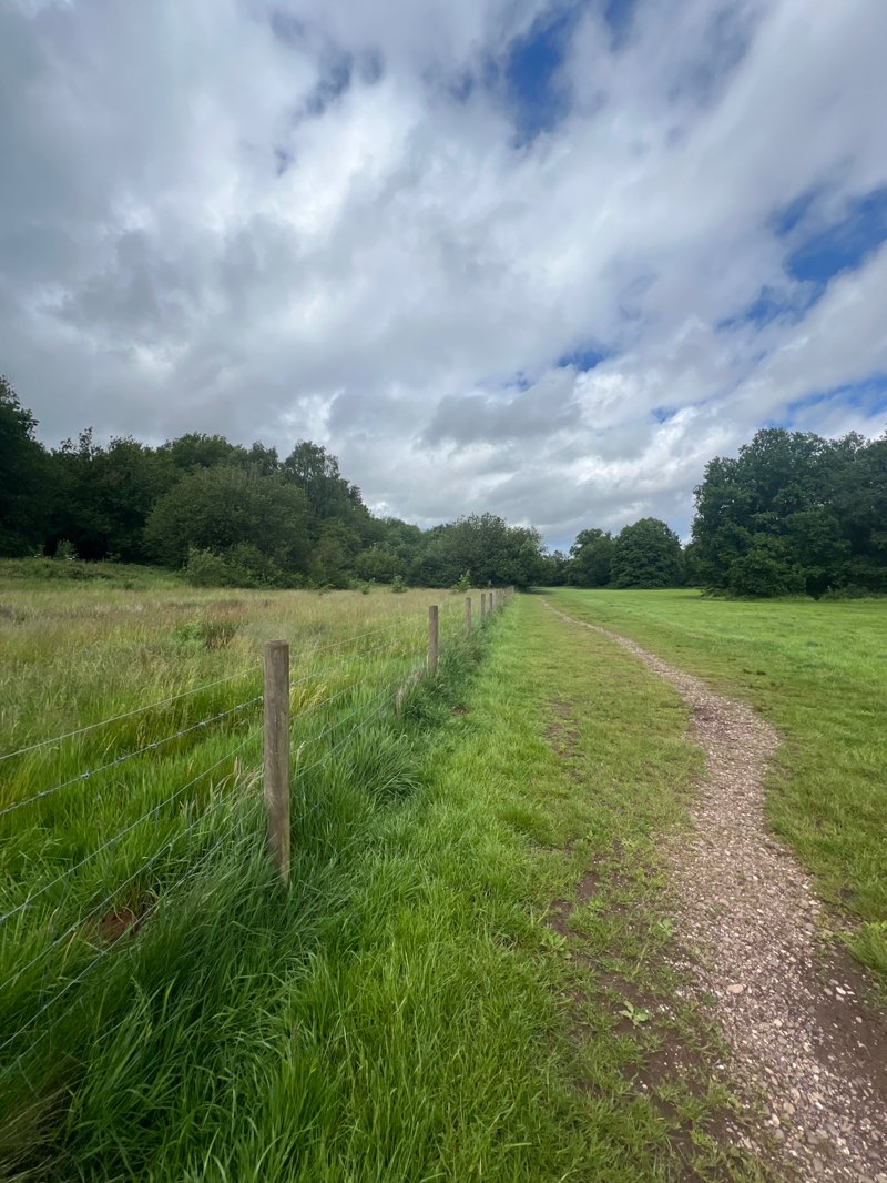 walking near me in Trentham Park in summer
