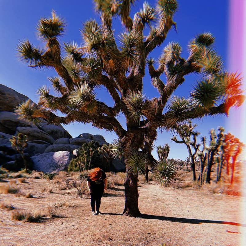 Jessica Khosravian profile