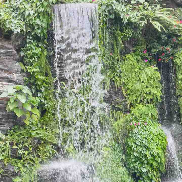 walking for health Ru-ling🇹🇼 post image