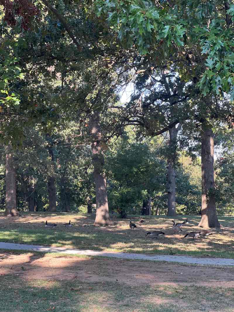 walking near me in Woodward Park in autumn