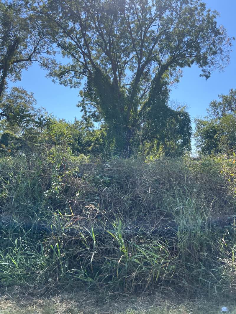 walking near me in Cousins Park in autumn