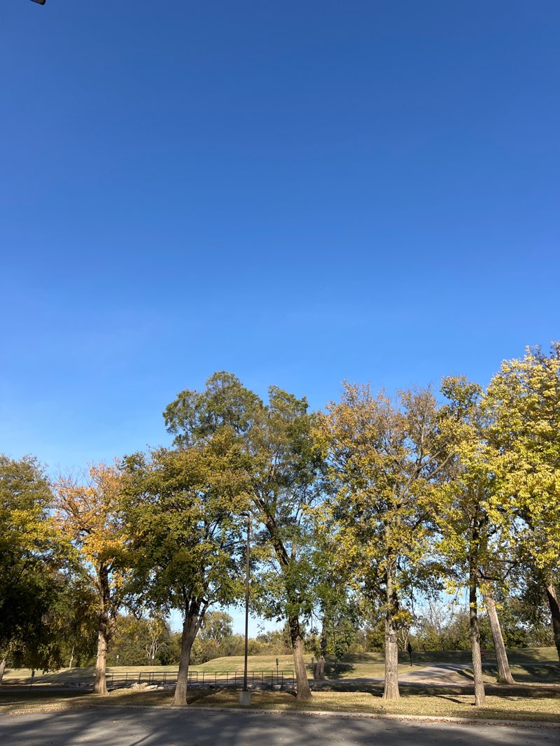 walking near me in Case Community Park in autumn