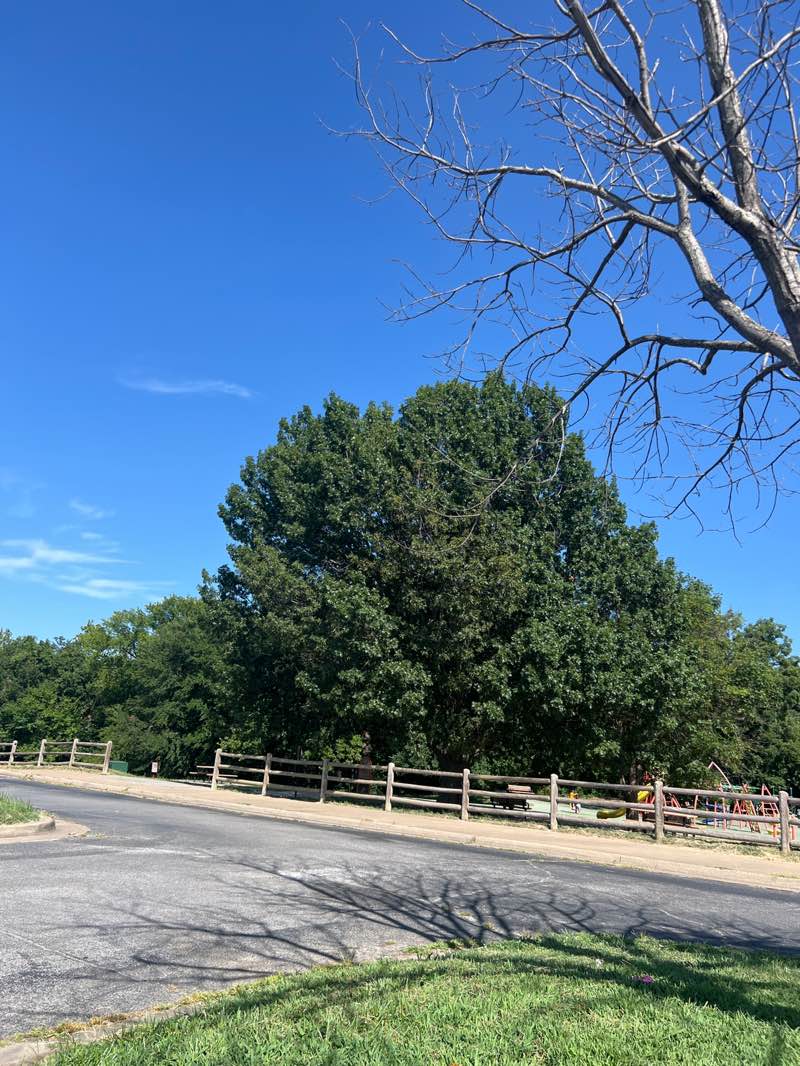 walking near me in Hunter Park in autumn