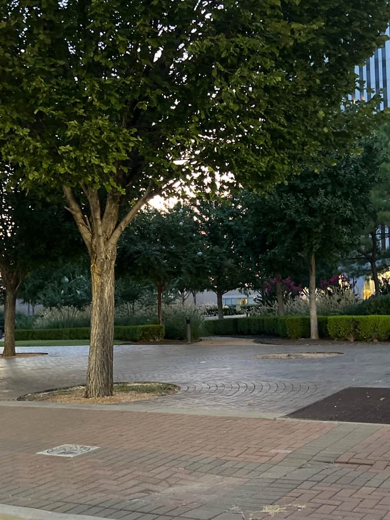 walking near me in Williams Center Green in autumn