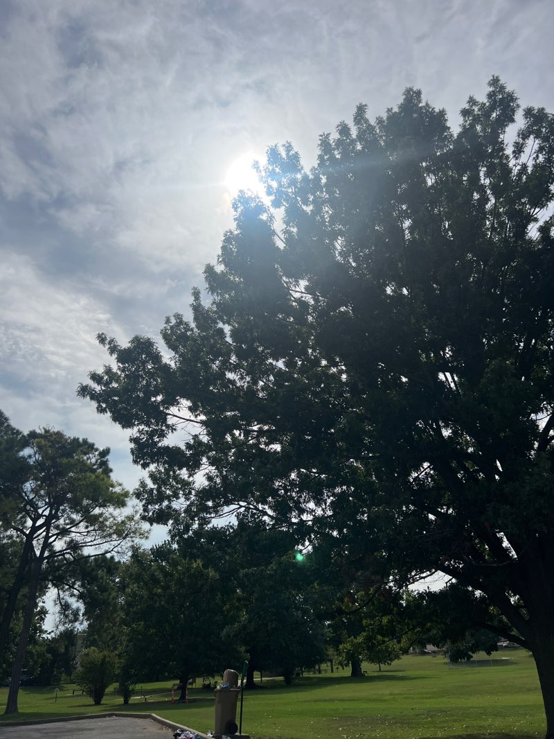 walking near me in Veterans Park in autumn