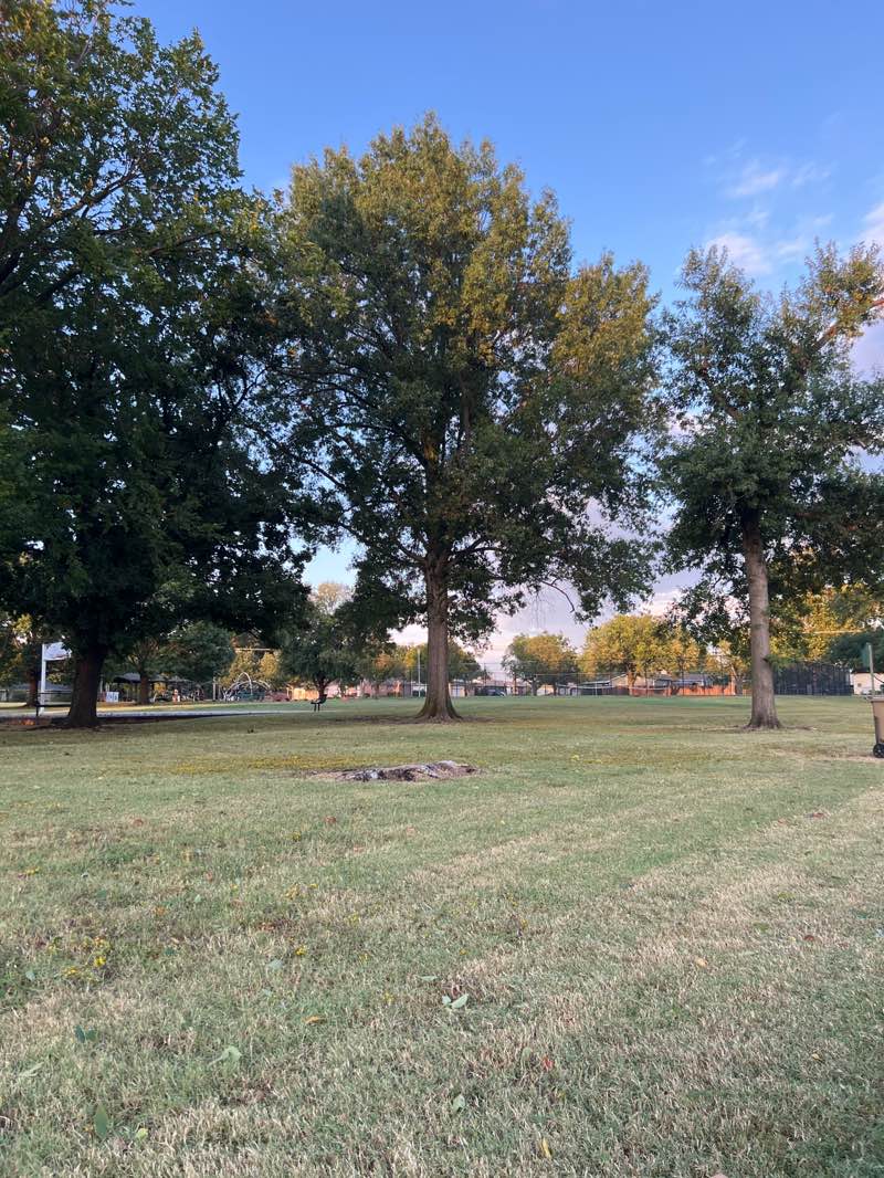 walking near me in Darlington Park in autumn
