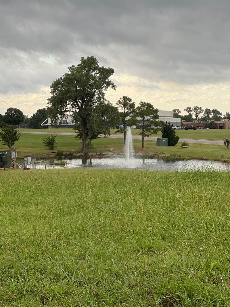 walking near me in Greenway Park in autumn