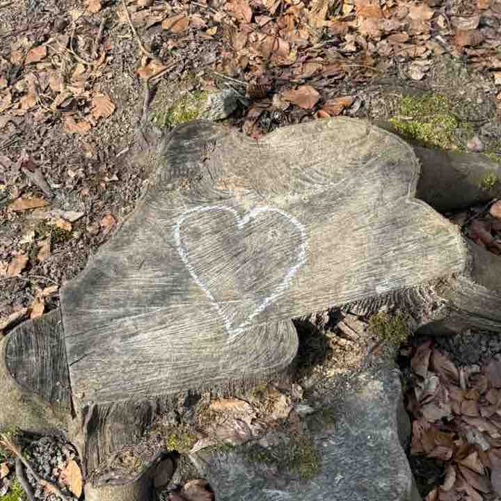 🫧✨Love 💗 to Run or  Walk ✨🫧 😎 Andreas 🖤💛 post image