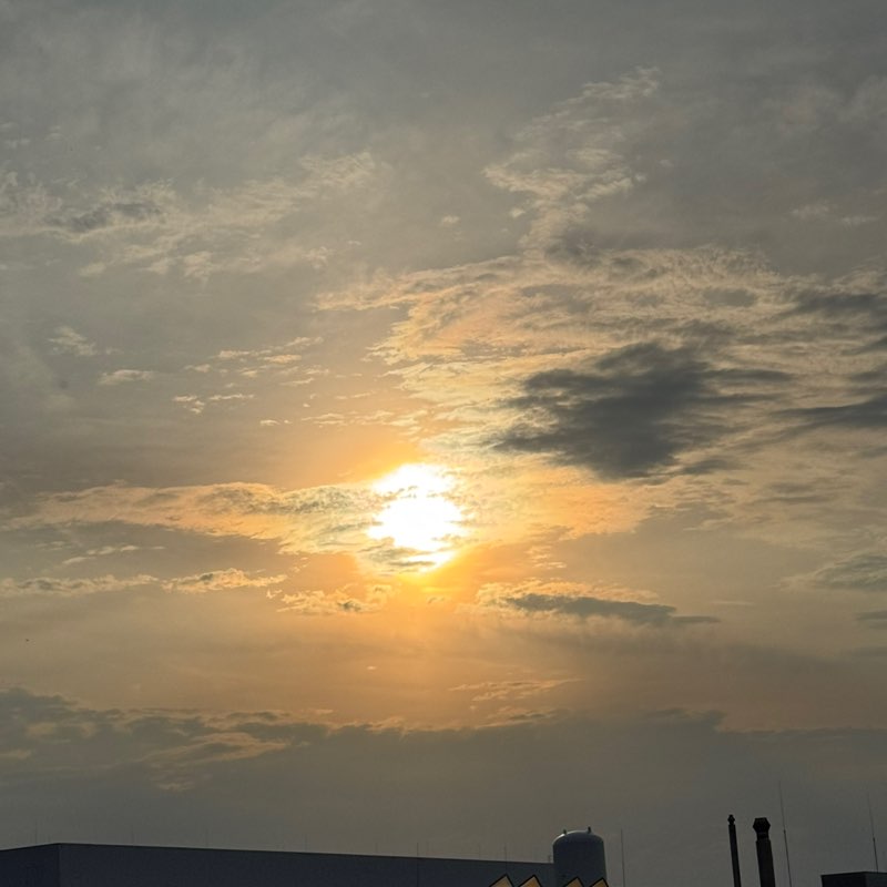 🫧✨Love 💗 to Run or  Walk ✨🫧 😎 Andreas 🖤💛 post image