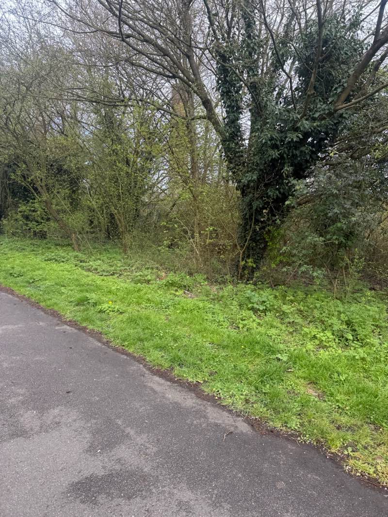 walking near me in The Rally Community Park in spring