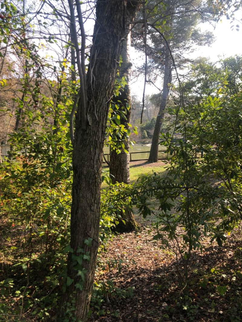 walking near me in Parco della Resistenza in winter