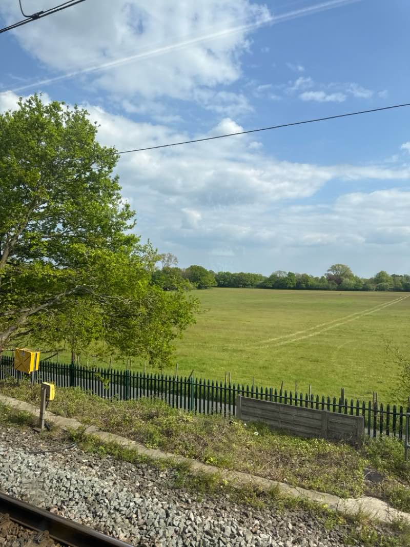walking near me in Salt Hill Park in spring
