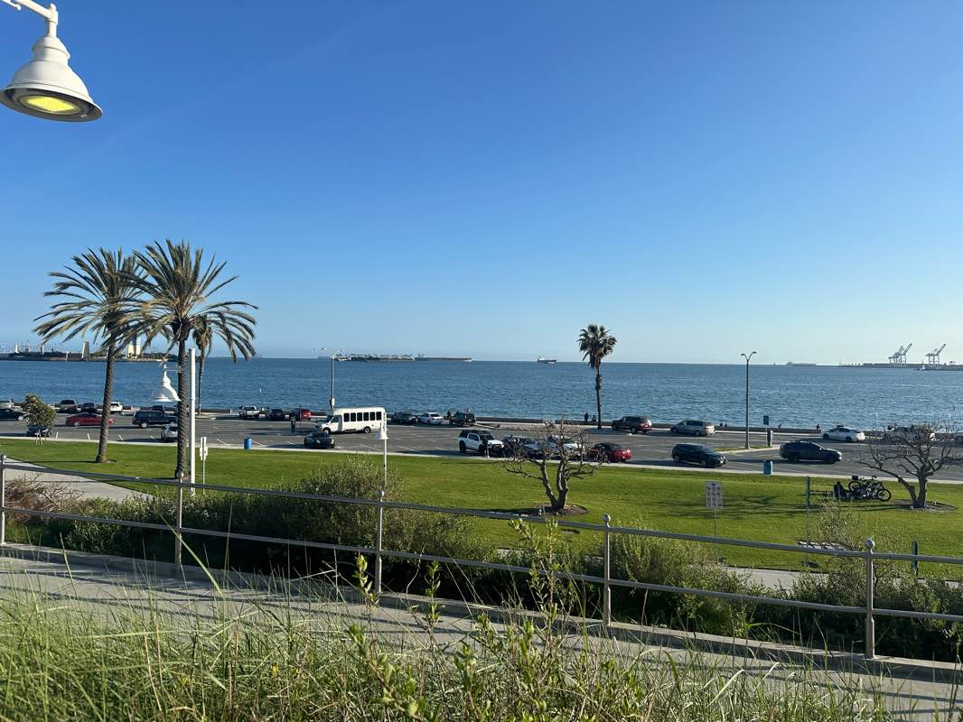 walking near me in Bixby Park in winter