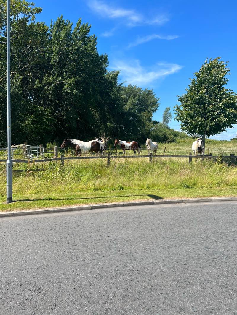 walking near me in Kingscote Park in winter