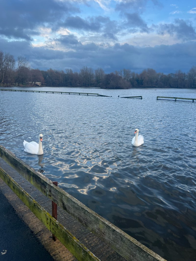 walking near me in Boundary Park in winter