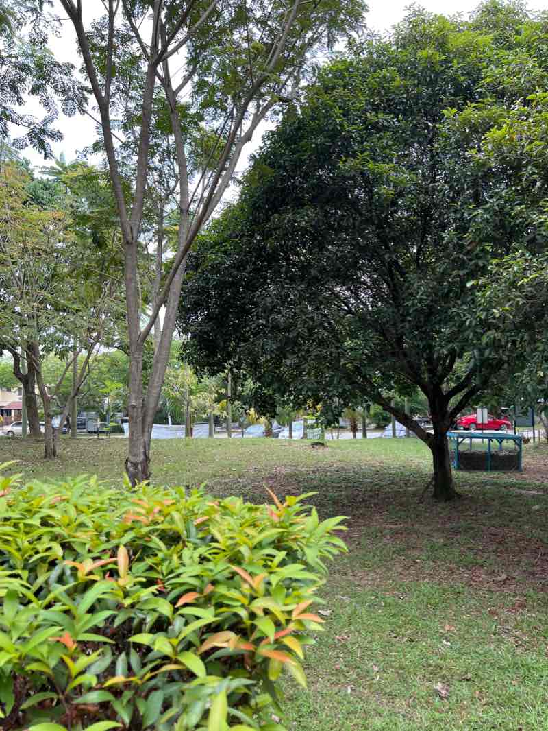 walking near me in USJ4 Park in winter