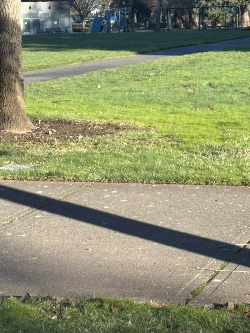 walking near me in Pacific Community Park in winter