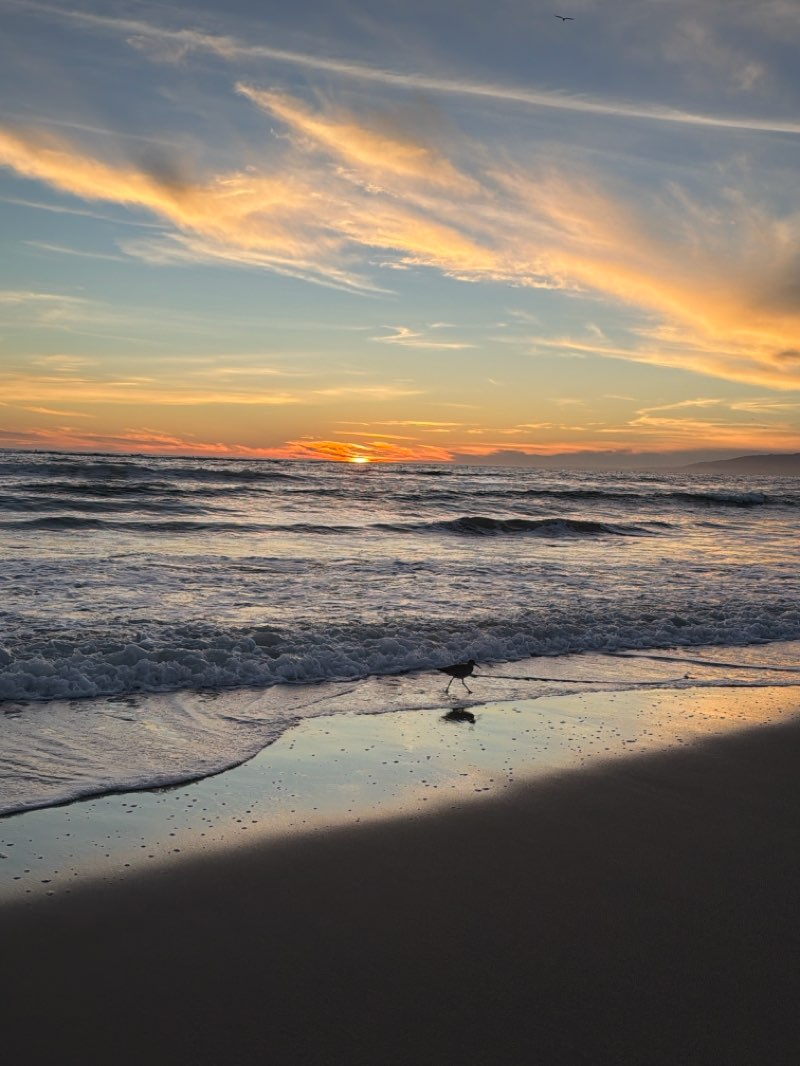 walking near me in Beach Park 1 in winter