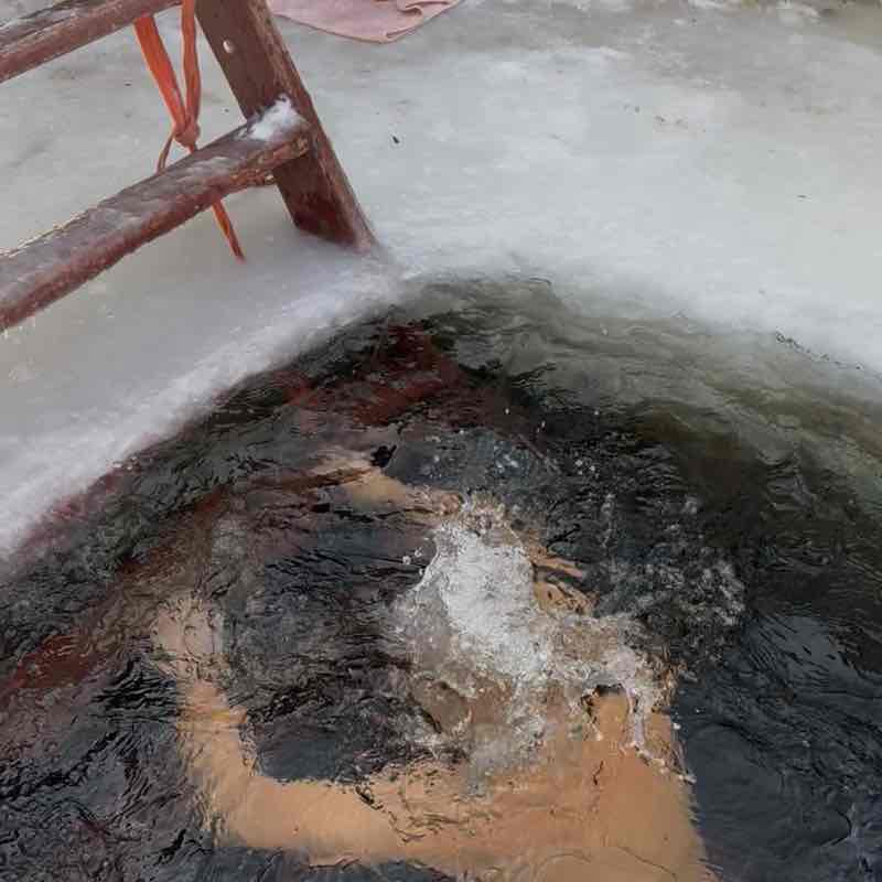 Тузик & Со Максим🇷🇺 post image