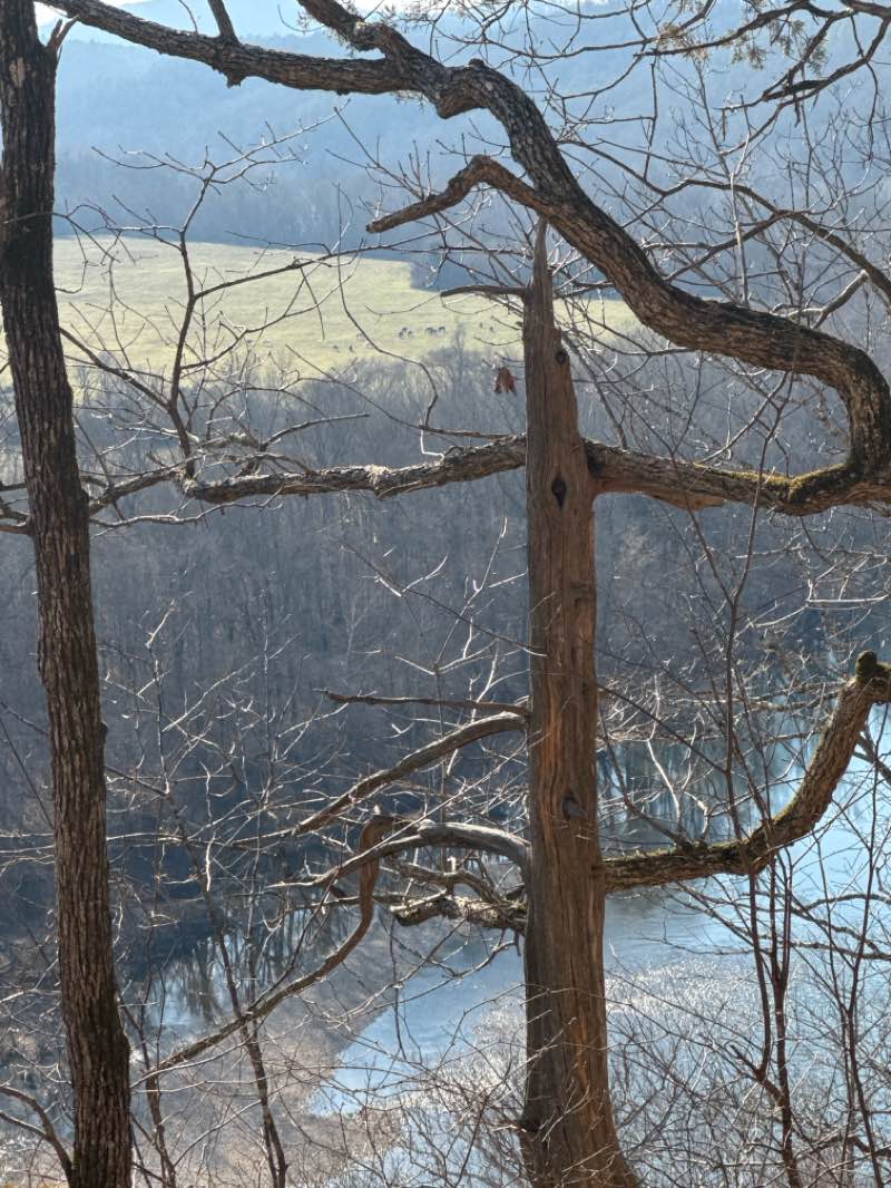 walking near me in Ozark National Scenic Riverways in winter