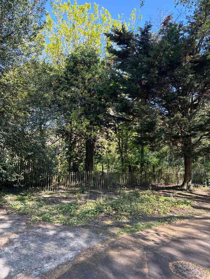 walking near me in Brent River Park in spring