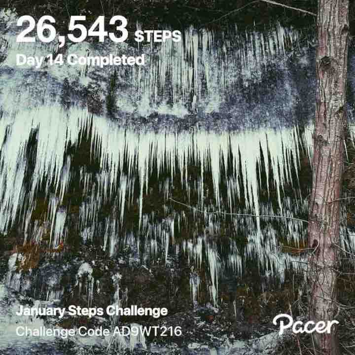 Harry 🇨🇦🇫🇷🇺🇸✌️ post 1