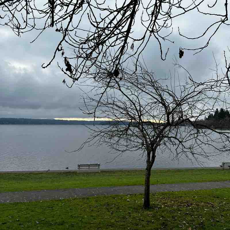 Harry 🇨🇦🇫🇷🇺🇸✌️ post 2